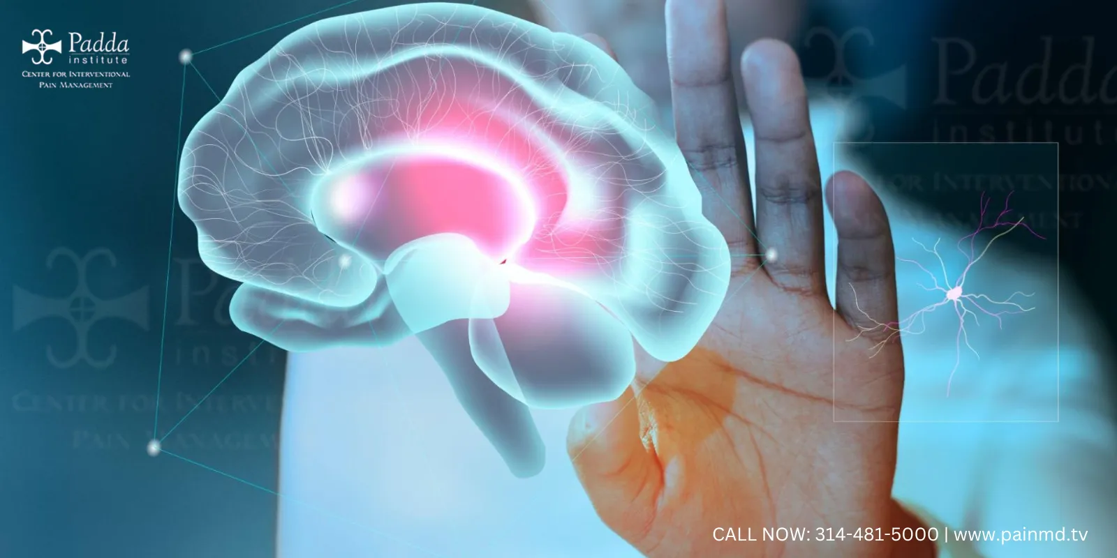 A Secret Hunger Switch In The Brain Uncovered