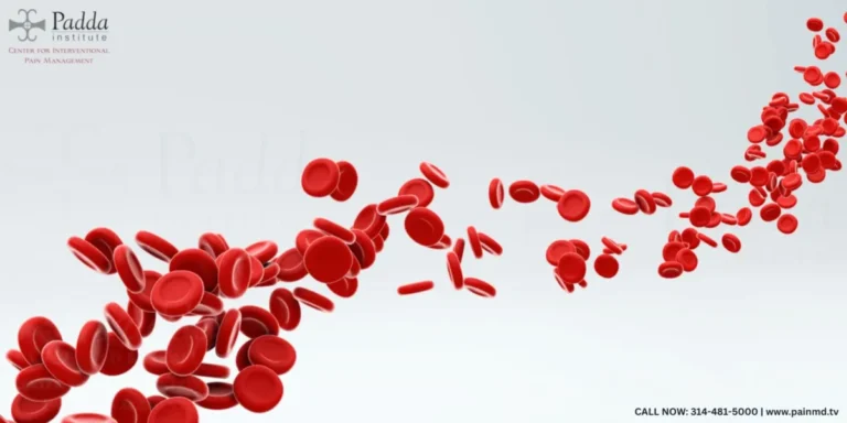 Illustration of red blood cells flowing in a stream