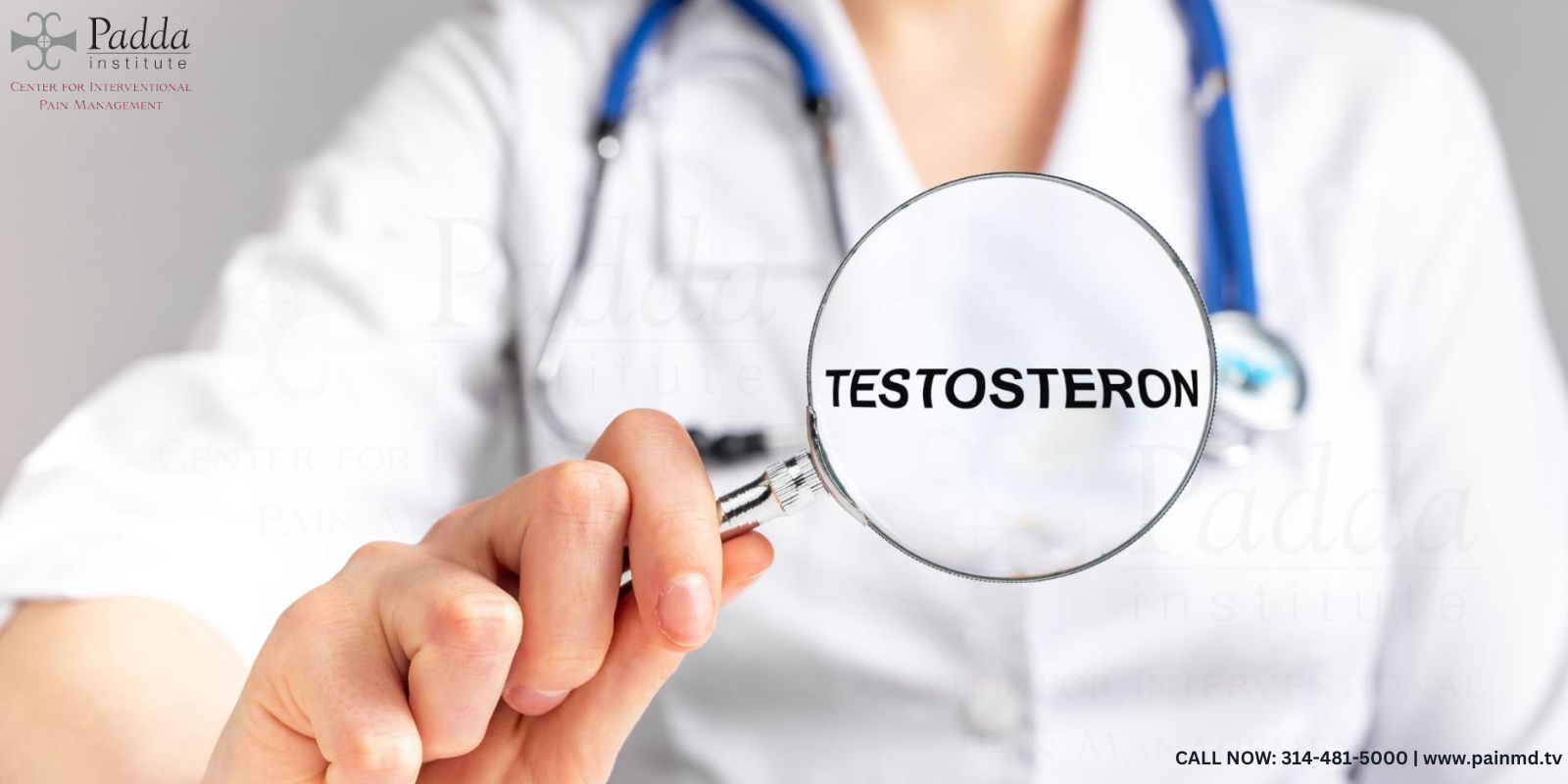 Testosteron May Promote "Cuddling and Prosocial Behavior ESTOSTERONE MAY PROMOTE “CUDDLING” OR “PROSOCIAL BEHAVIOR”