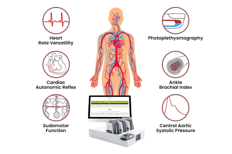 Diagram of cardiometabolic assessment measures including heart rate variability and ankle brachial index