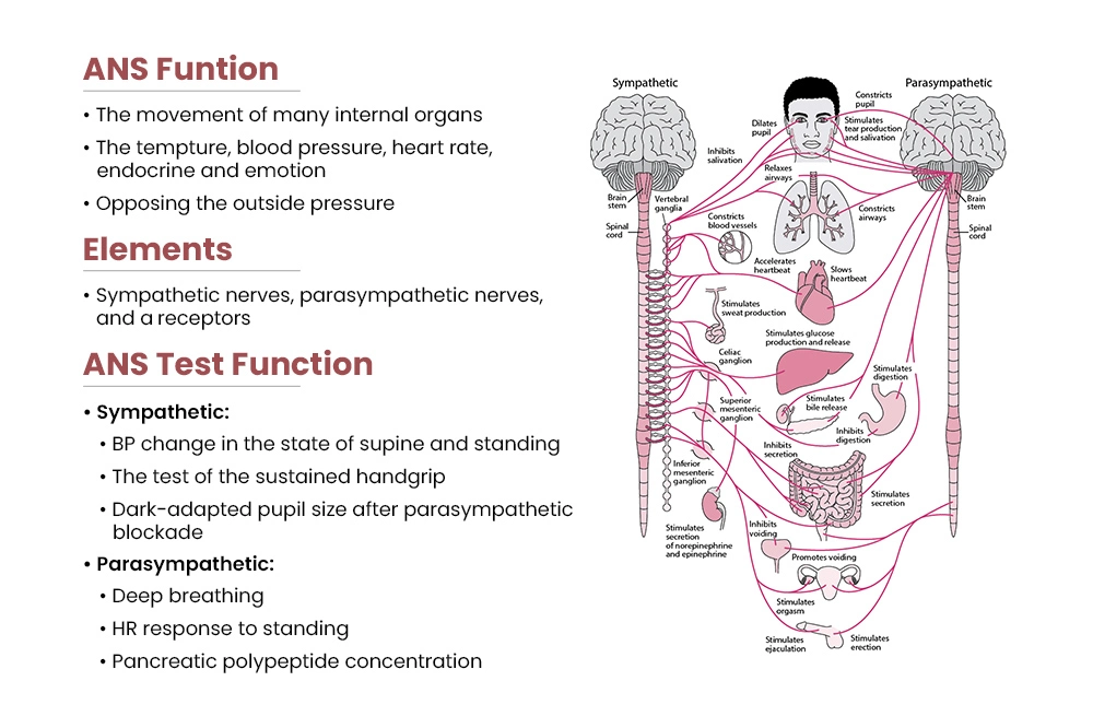 The Need For Autonomic Nervous System Testing