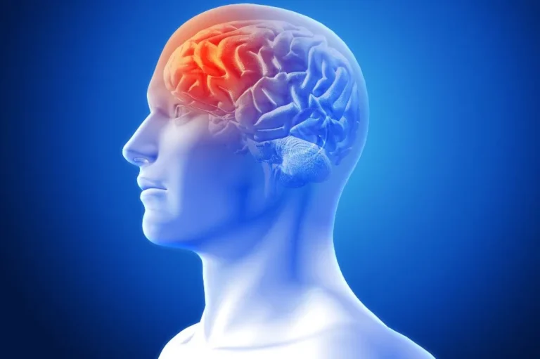 Blue anatomical illustration of a head with the brain highlighted in red