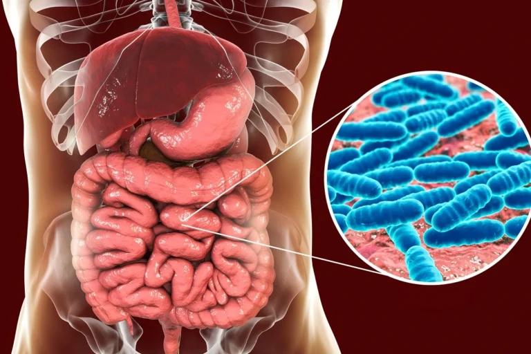 Anatomical illustration of the intestines with gut bacteria magnified