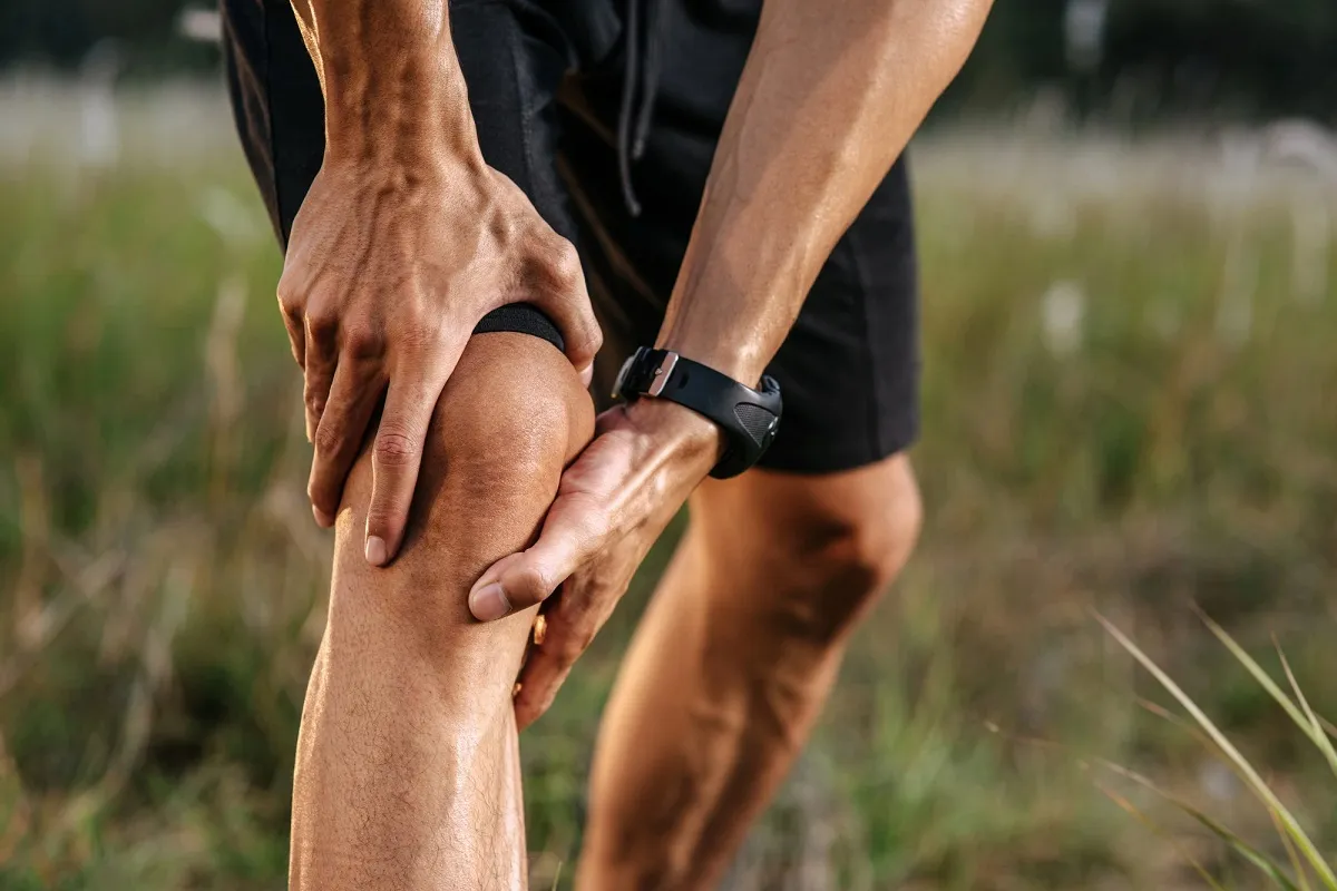 Study Highlights Role of Electrical Stimulation in Tendon Health
