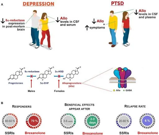 Novel neurosteroid causes prolonged depression remission3