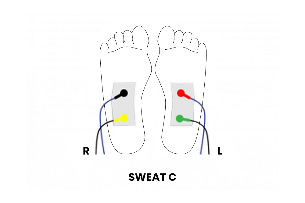 Includes A Galvanic Skin Response Test & Bioimpedance Analysis