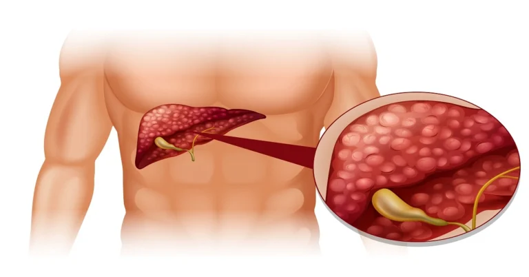 Anatomical illustration of the liver with magnified tissue detail