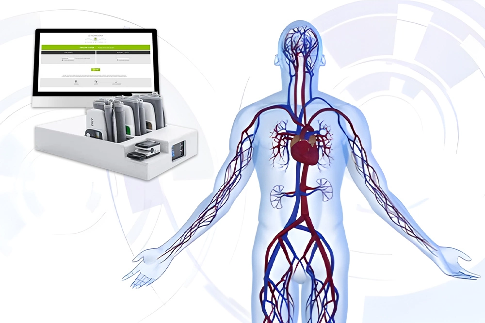 Understanding Measura Sympathetic System