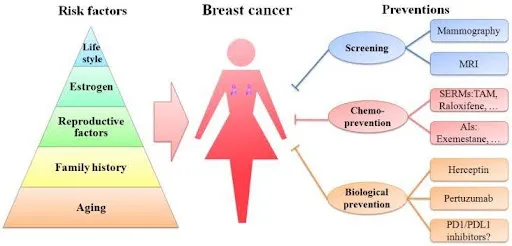 risk factors for breast cancer