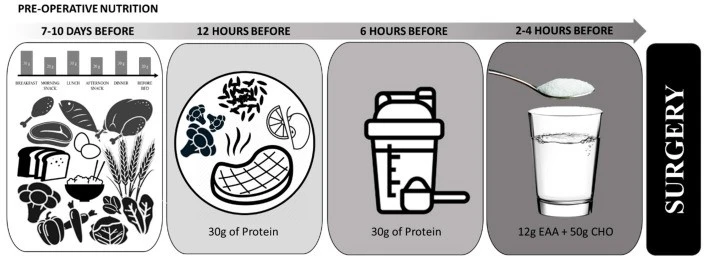 Nutrition therapy to prevent muscle and bone loss