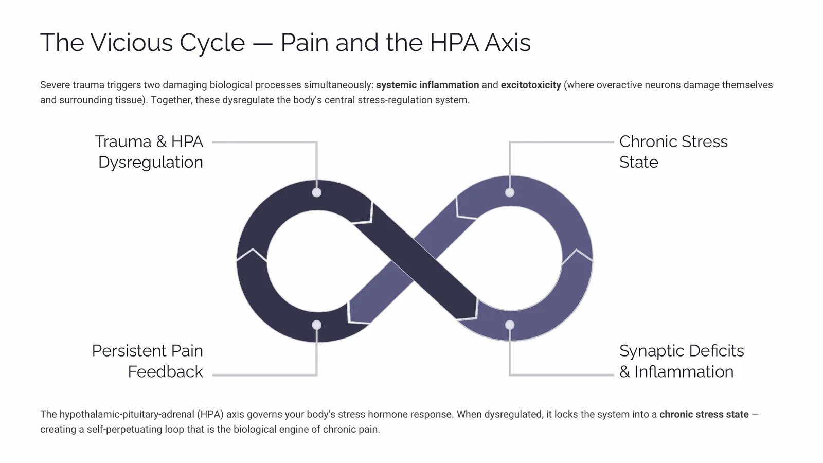 Cycle diagram showing trauma and HPA axis dysregulation feeding chronic stress, inflammation and persistent pain