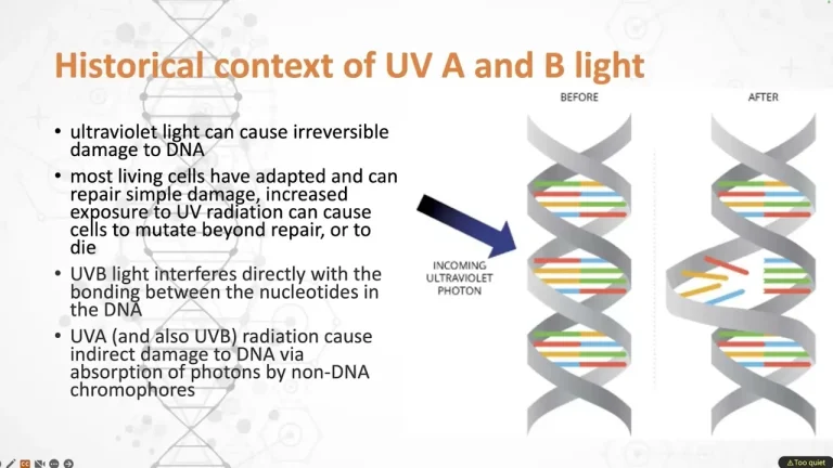 Presentation slide on the historical context of UVA and UVB light and DNA damage