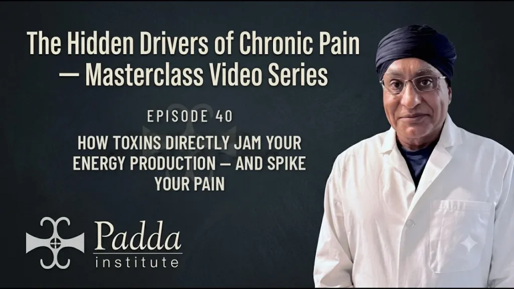 Blog Image - How Toxins Directly Jam Your Energy Production and Spike Your Pain
