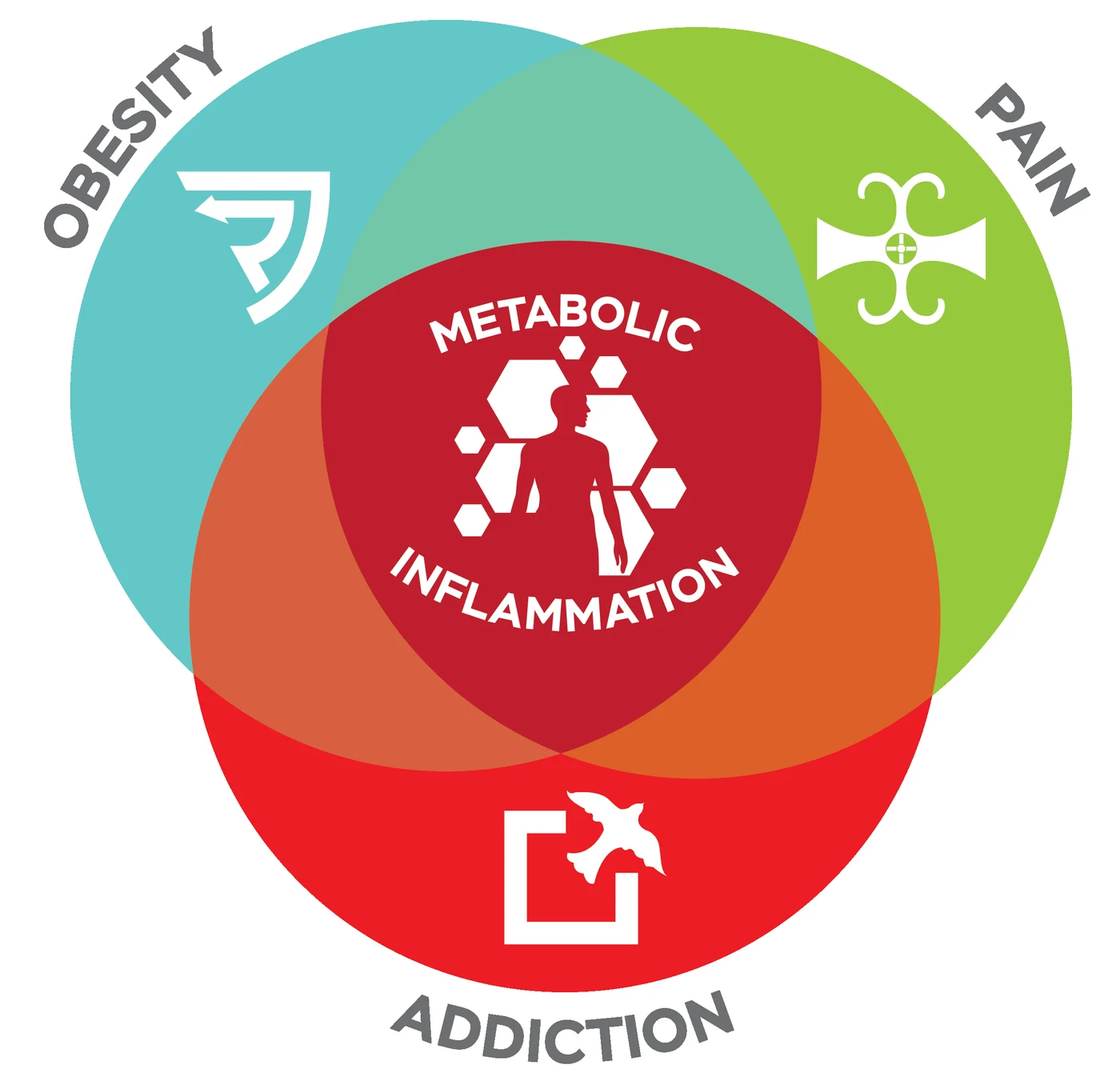 Three-circle Venn diagram labeled Obesity, Pain and Addiction overlapping on a central red circle labeled Metabolic Inflammation