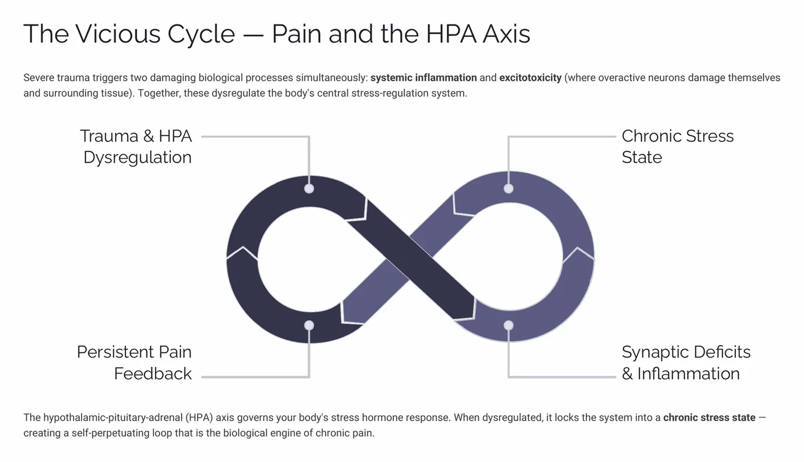 Cycle diagram showing trauma and HPA axis dysregulation feeding chronic stress, inflammation and persistent pain