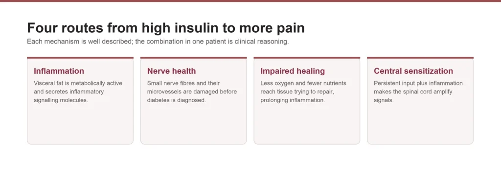 Diagram of four routes from high insulin to more pain: inflammation, nerve health, impaired healing and central sensitization