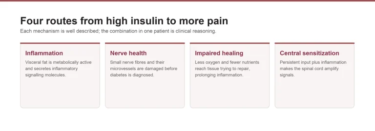 Diagram of four routes from high insulin to more pain: inflammation, nerve health, impaired healing and central sensitization