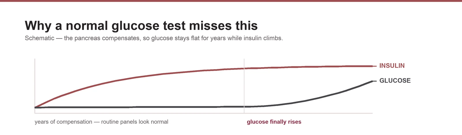 Schematic chart showing insulin rising and plateauing high while blood glucose stays flat for years before rising late