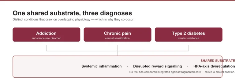 Diagram showing addiction, chronic pain and type 2 diabetes sharing systemic inflammation, disrupted reward signalling and HPA-axis dysregulation