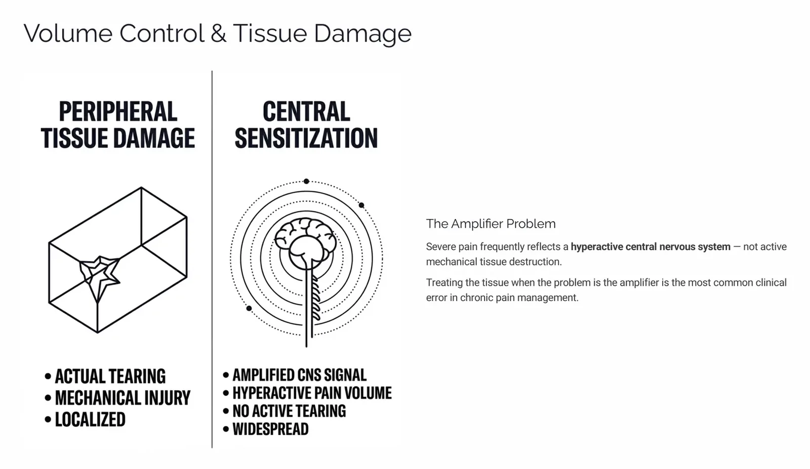 Slide explaining severe pain as a hyperactive central nervous system amplifier rather than active tissue destruction
