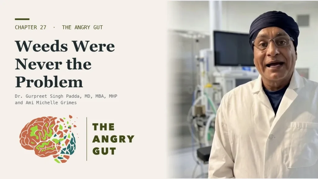 Title card for The Weeds Were Never the Problem, The Angry Gut Chapter 27, showing Dr. Padda beside the chapter title text
