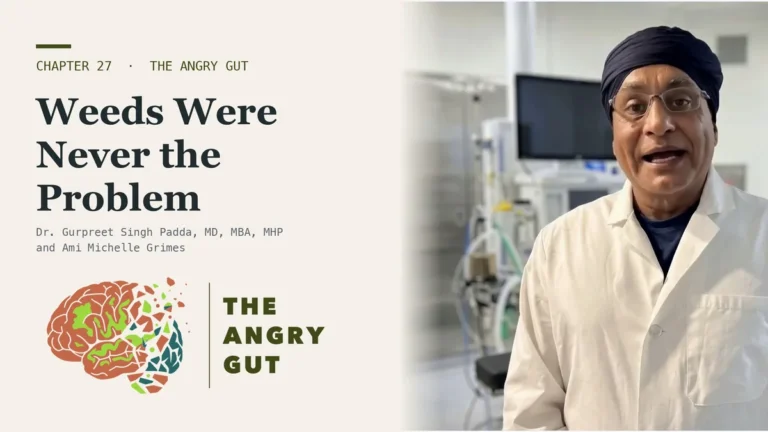 Title card for The Weeds Were Never the Problem, The Angry Gut Chapter 27, showing Dr. Padda beside the chapter title text