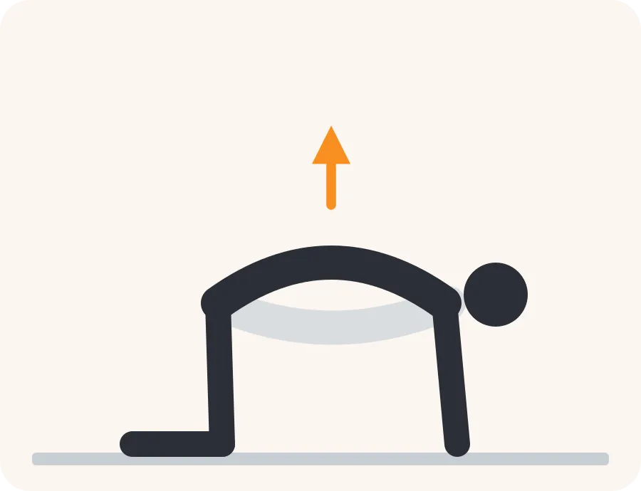 Line drawing of the cat-cow stretch exercise: a light figure in the starting position, a dark figure in the end position and an orange arrow showing the direction of movement
