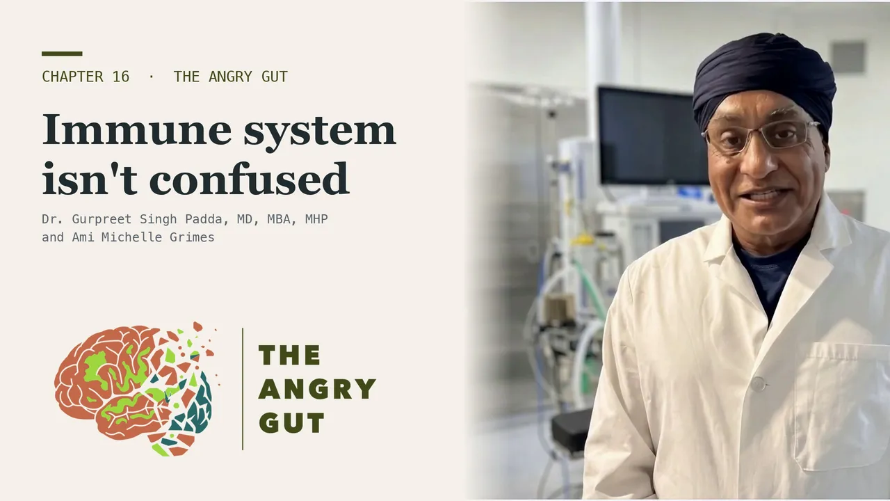 Your Immune System Is Not Confused | The Angry Gut, Chapter 16 — video thumbnail
